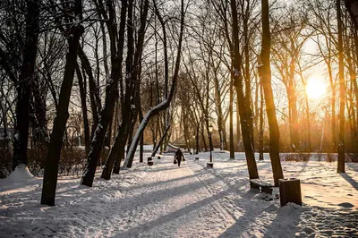 ciechanowiak - zdjęcia do dokumentów (do dowodu, paszportu, legitymacji) | fotograf Ciechanów | studio fotograficzne